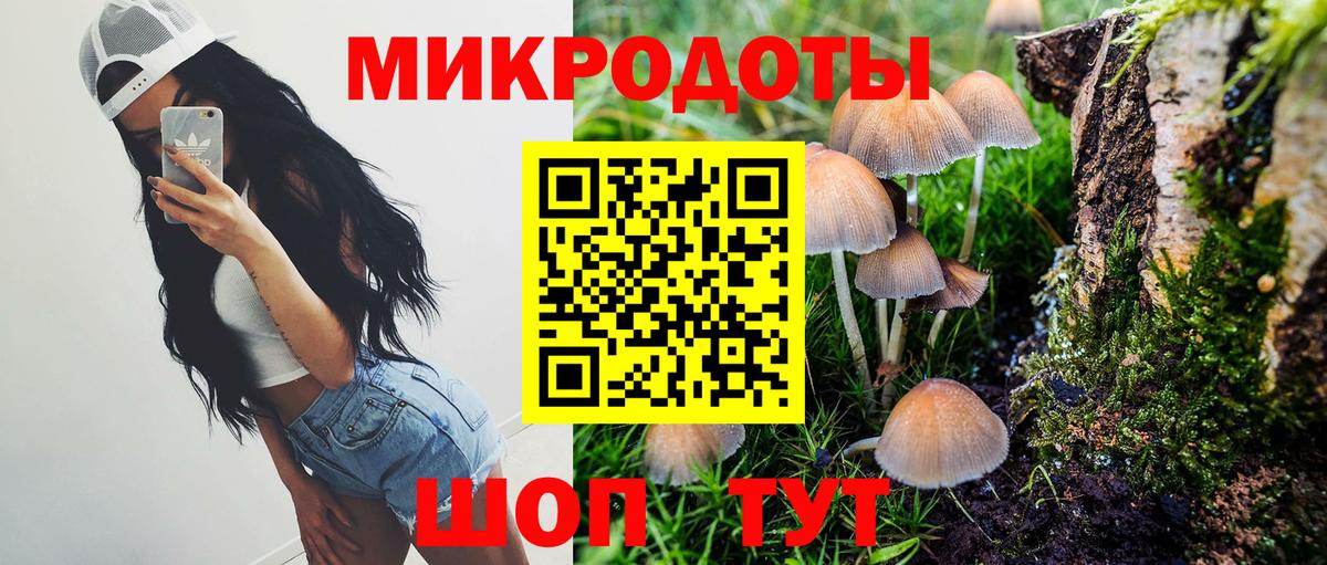 Дербент  Галлюциногенные грибы MAGIC MUSHROOMS  Вход с VPN 