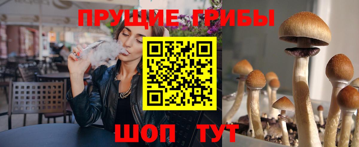 Галлюциногенные грибы мухоморы Дербент